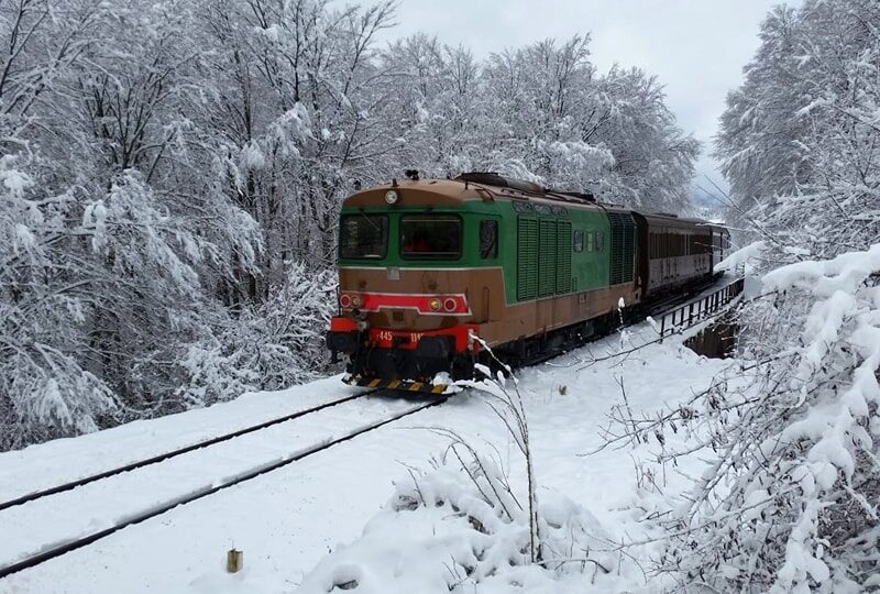 328520061 698339491777733 2420644443960446071 N