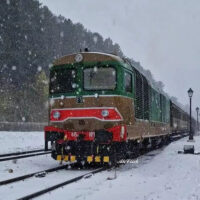 TRENO DELLA NEVE