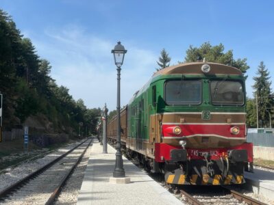 TRENI DI PRIMAVERA: 1 NOTTE IN HB (COLAZIONE, CENA) RISERVATO AD AUTOMUNITI+ VISITA DI SULMONA + BIGLIETTO TRENO STORICO SULMONA-ALFEDENA/SCONTRONE
