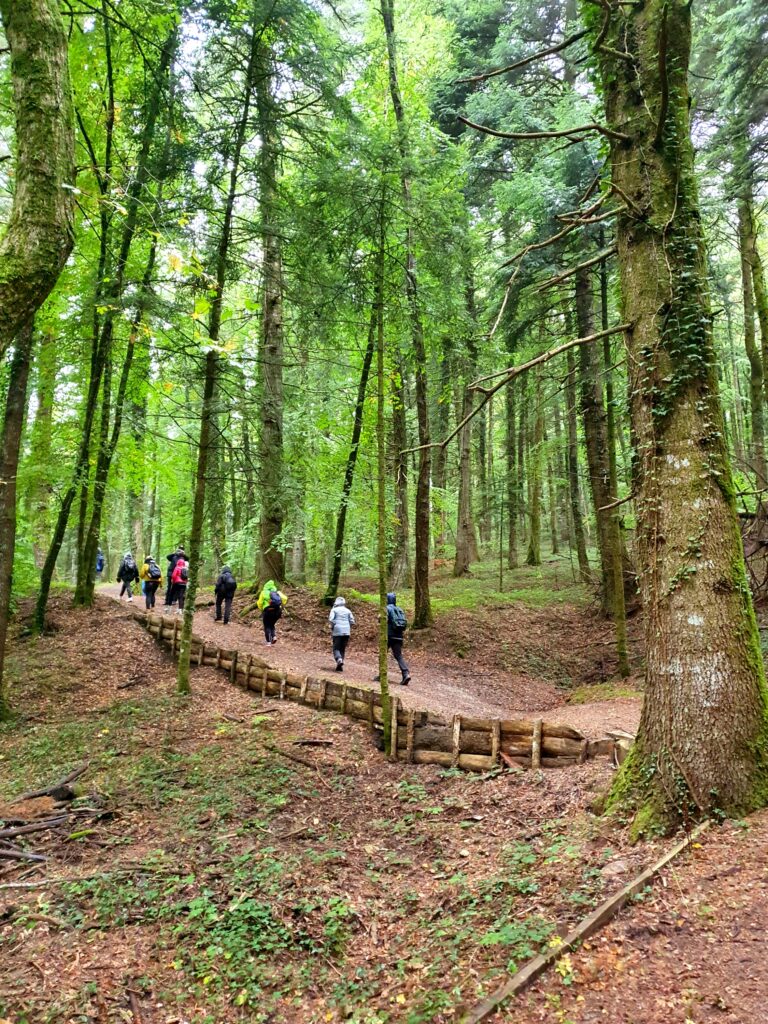 Escursione guidata alla riserva di Montedimezzo