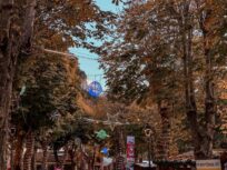 483103749_664216312796158_6179034723275789234_n